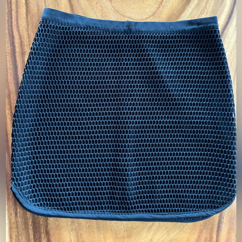 LAST CHANCE Honey Punch Black Mesh Mini Skirt